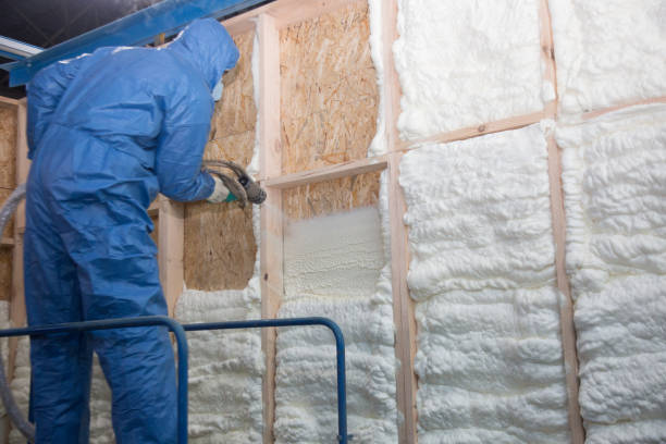 Best Spray Foam Insulation in USA